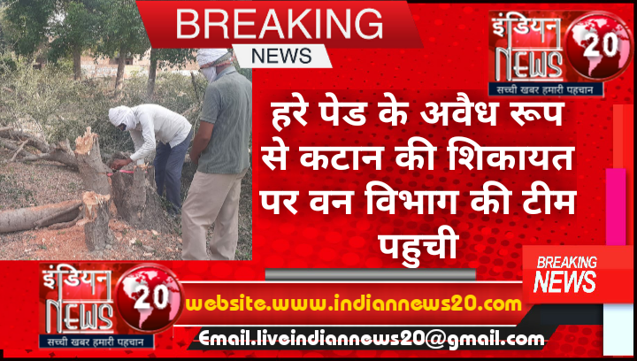हरे पेड के अवैध रूप से कटान की शिकायत