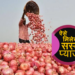 piyaj ka ret to dekho zara | प्याज का रेट तो देखो जरा | Indian news 20