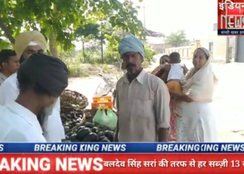 बलदेव सिंह सरांं की तरफ से हर सब्ज़ी 13 रुपए किलो