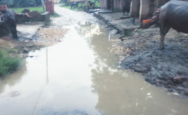 गाँव को नगर पालिका परिषद भरवारी में जोडने के बाद भी नरकीय जिंदगी झेल रहे ग्रामीण।