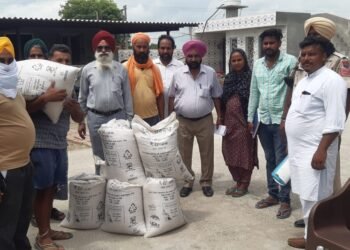 सरकार की तरफ से भेजी गेहूँ सरकारी अफ़सर अवतार सिंह रंगरा की देख रेख नीचे वंडी