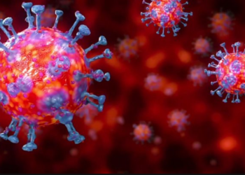 कोरोना योद्धाओं से ग्रामीणों ने की बदसलूकी