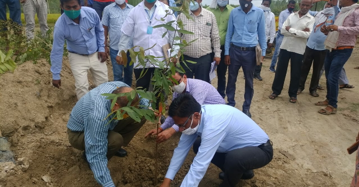 पशुधन प्रमुख सचिव ने निर्माणाधीन गौशाला व अस्थाई गौशाला का किया औचक निरीक्षण-