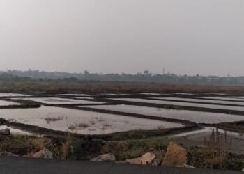 मुंबई पालघर नए गांव में ये दो दिन के बारिश से हुआ किसानों को नमक की खेती में भारी नुकसान