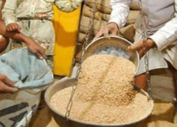 एनएफएसए में राशन लेने वाले 982 कार्मिकों के विरूद्ध होगी कार्यवाही