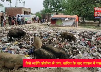 कैसे लड़ेंगे कोरोना से जंग, बारिश के बाद चायल में पसरी गंदगी.शो पीस बने नगर पंचायत चायल के सार्वजनिक शौचालय.