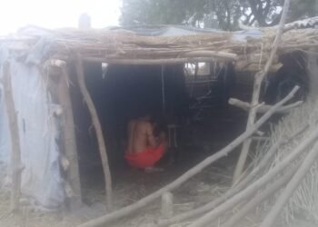 गौशाला में बंधे जानवरों से अराजक तत्व कर रहे हैं जबरन गौशाला में अवैध कब्जा.