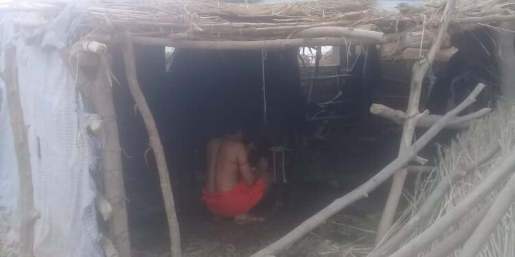 गौशाला में बंधे जानवरों से अराजक तत्व कर रहे हैं जबरन गौशाला में अवैध कब्जा.