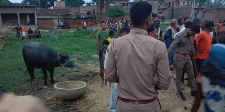 करंट लगने से 10 वर्षीय बच्चे की दर्दनाक मौत.