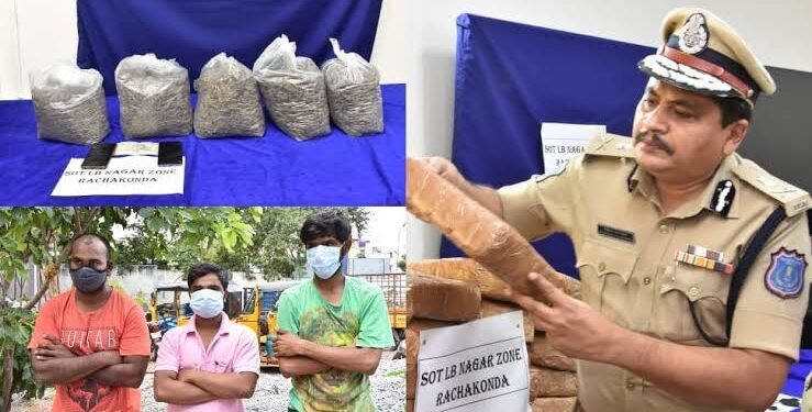 गांजा के साथ दो अभियुक्त गिरफ्तार