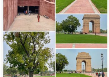 पीएम मोदी सेंट्रल विस्टा एवेन्यू का 8 सितंबर को करेंगे उद्घाटन