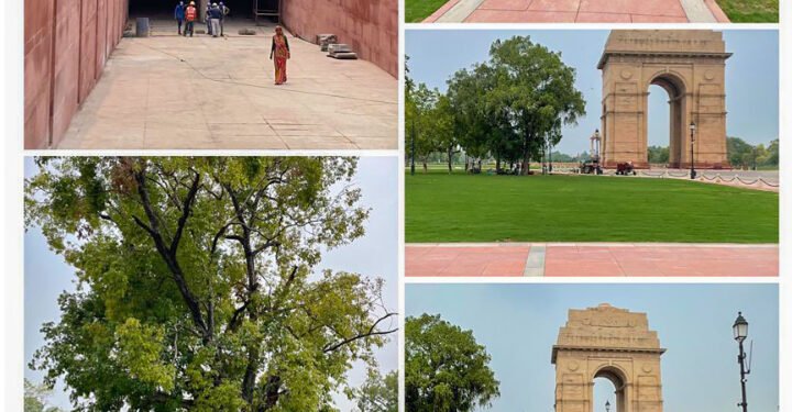 पीएम मोदी सेंट्रल विस्टा एवेन्यू का 8 सितंबर को करेंगे उद्घाटन