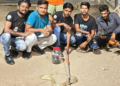 सांप आने से मची हड़कंप