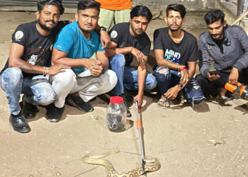 सांप आने से मची हड़कंप