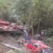 Uttarakhand Accident: पौड़ी के बीरोंखाल में बरातियों से भरी बस खाई में गिरी, 25 लोगों की मौत, 21 घायल