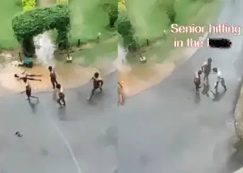 बोतल के साथ मास्टरबेट, जबरन उतरवाए कपड़े… वेल्लोर के मेडिकल कॉलेज की ‘अश्लील’ रैगिंग का वीडियो वायरल