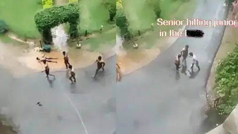 बोतल के साथ मास्टरबेट, जबरन उतरवाए कपड़े… वेल्लोर के मेडिकल कॉलेज की ‘अश्लील’ रैगिंग का वीडियो वायरल