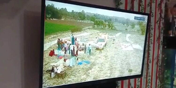 खेत से चोरी हुए लहसुन तो लगवाए CCTV कैमरे, बंदूक से भी रखवाली कर रहे किसान