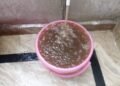 जल संस्थान की घोर लापरवाही के चलते शहर में नालियों जैसा पानी की हो रही सप्लाई