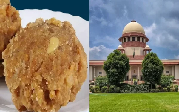 क्या तिरुपति प्रसाद में मिलावटी था घी? SC की बड़ी टिप्पणी, ‘भगवान को राजनीति से दूर रखो..’