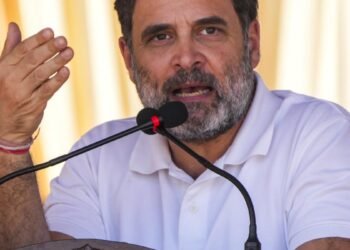 जंगल के शेर अक्सर भिड़ जाते हैं… सोनीपत में कांग्रेस नेताओं के टकराव पर राहुल गांधी का बड़ा बयान