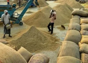 किसानों को दिवाली का तोहफा, केंद्र सरकार ने सरसों पर MSP 300 रुपये और गेहूं पर 150 रुपये प्रति क्विंटल बढ़ाई