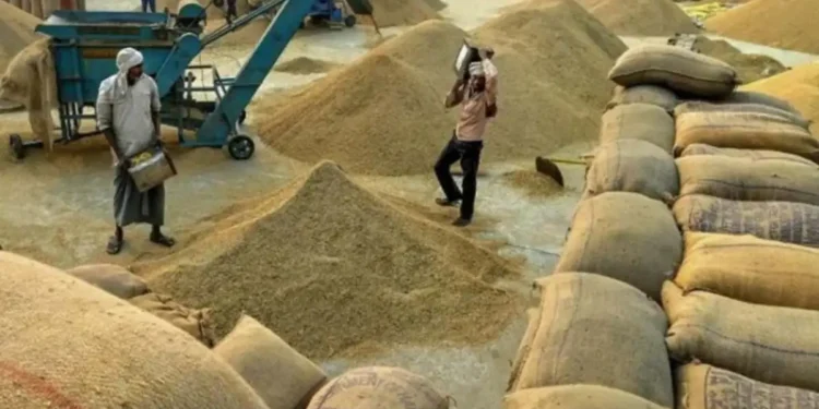 किसानों को दिवाली का तोहफा, केंद्र सरकार ने सरसों पर MSP 300 रुपये और गेहूं पर 150 रुपये प्रति क्विंटल बढ़ाई