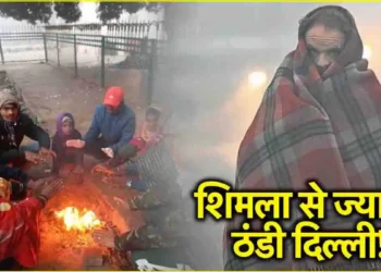 दिल्ली में सर्दी ने कब तोड़ा था रिकार्ड? रोजाना कैंसिल हुई थीं ट्रेनें और हर तरफ छाया कोहरा