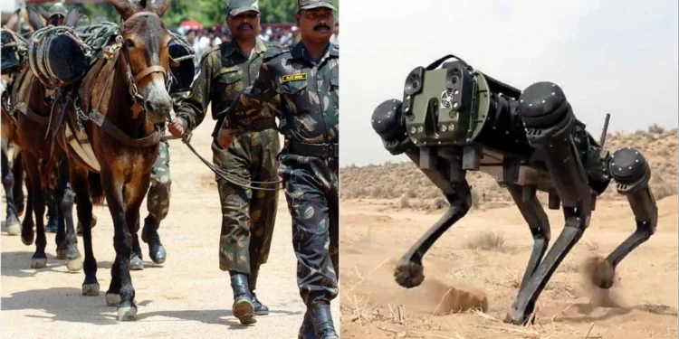 क्या हैं रोबोटिक खच्चर, जो बनेंगे जवानों की ढाल, परेड में दिखाएंगे जलवा