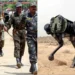 क्या हैं रोबोटिक खच्चर, जो बनेंगे जवानों की ढाल, परेड में दिखाएंगे जलवा